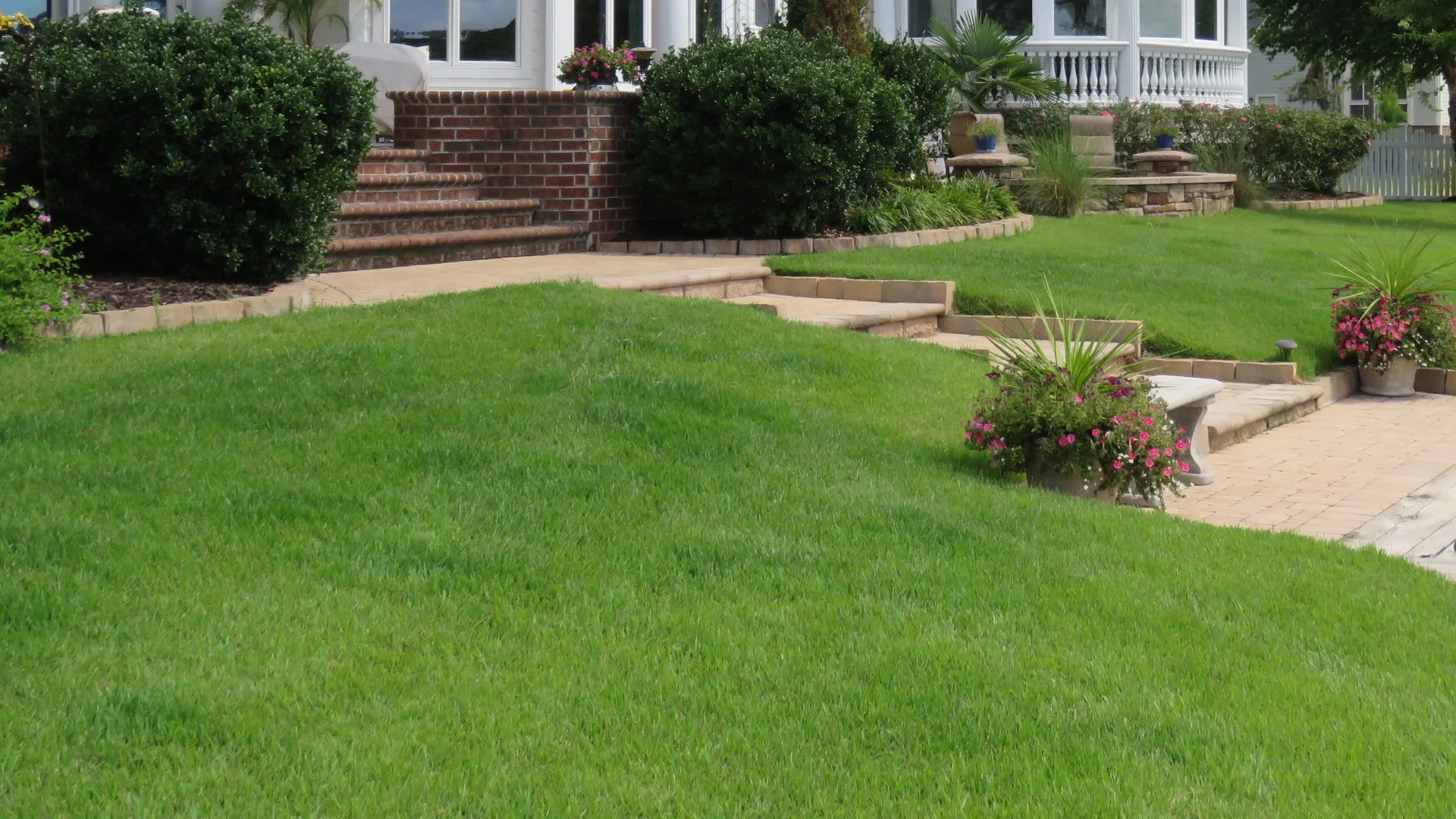 Green grass lining the front walkway of a house in Edenton, NC.
