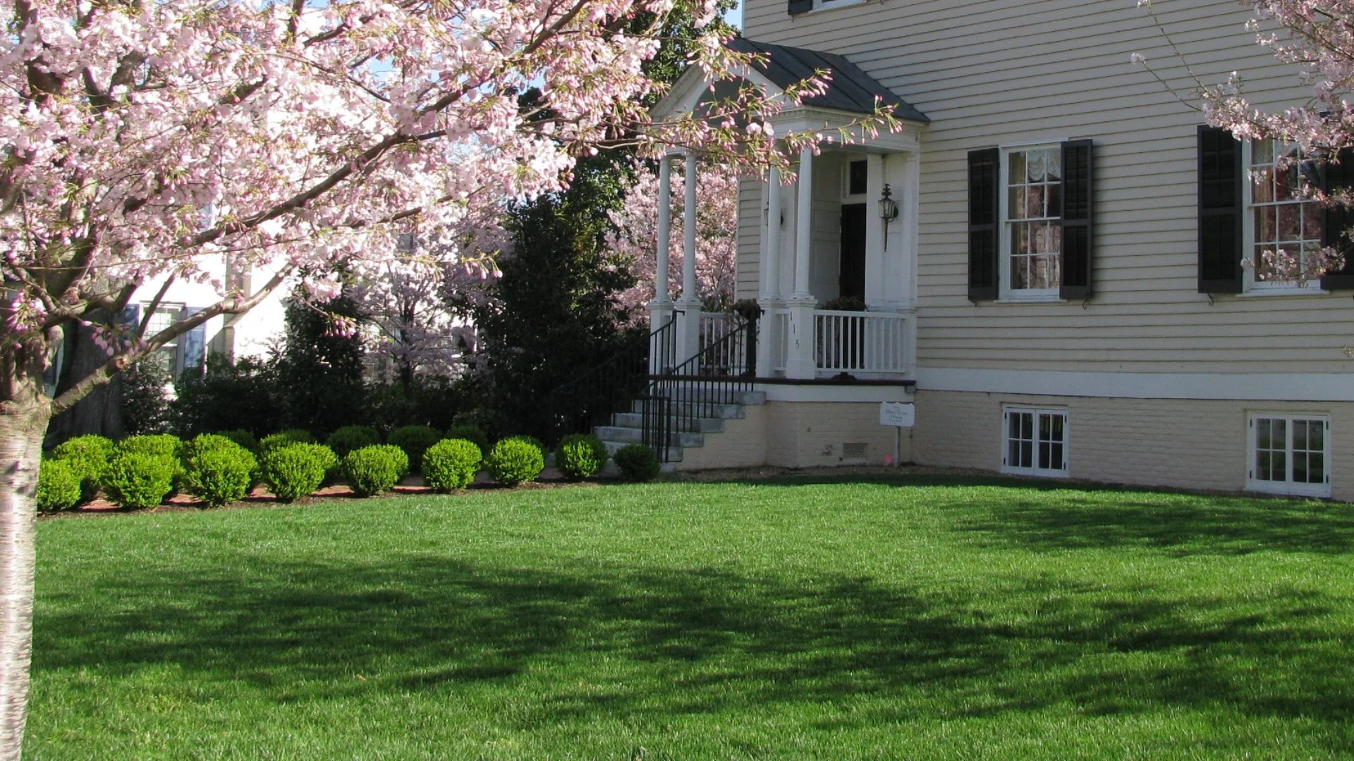 Green lawn with small shrubs in front of a house in Edenton, NC.
