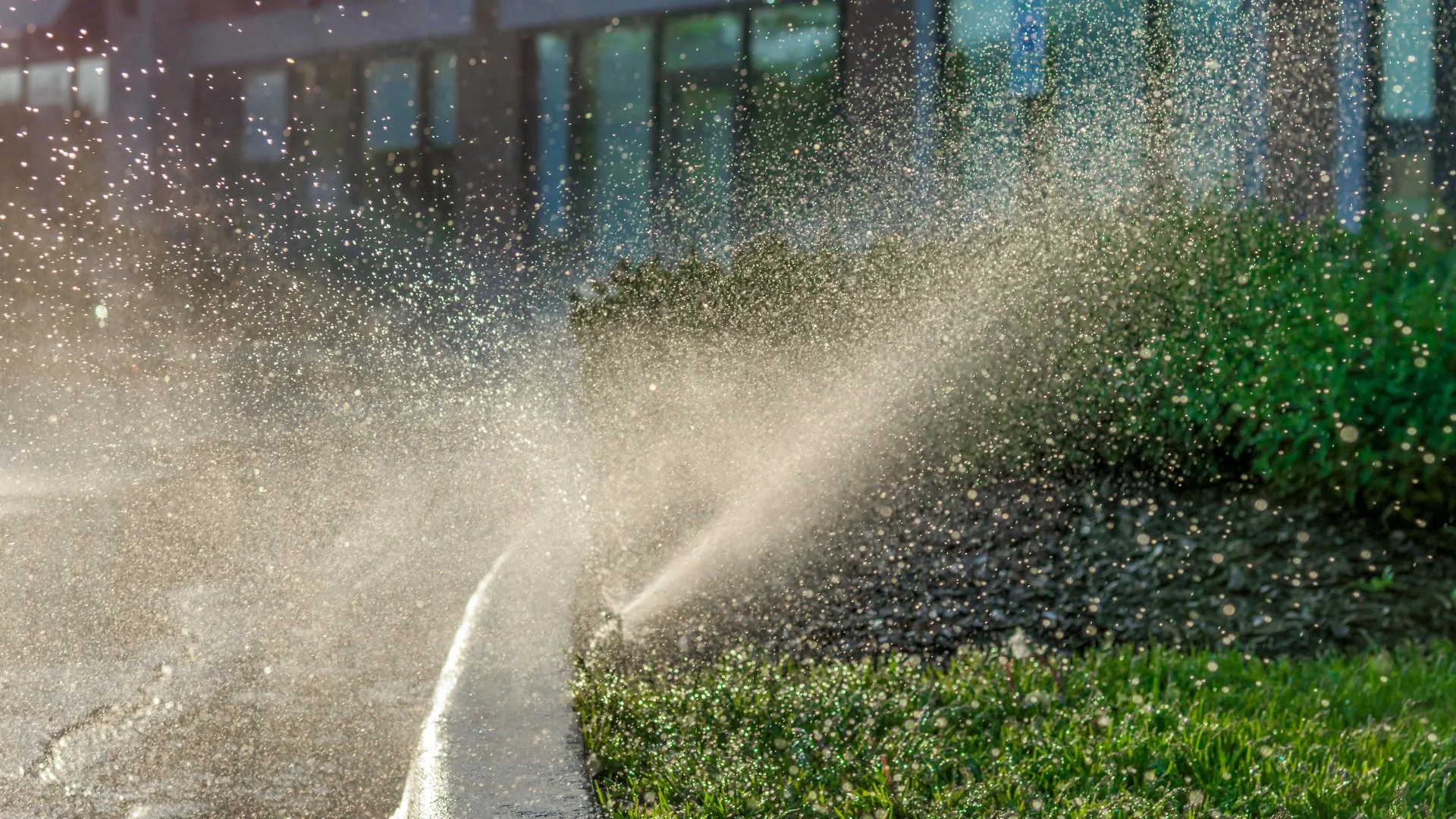 Sprinkler spraying water over a lush green landscape in Edenton, NC.
