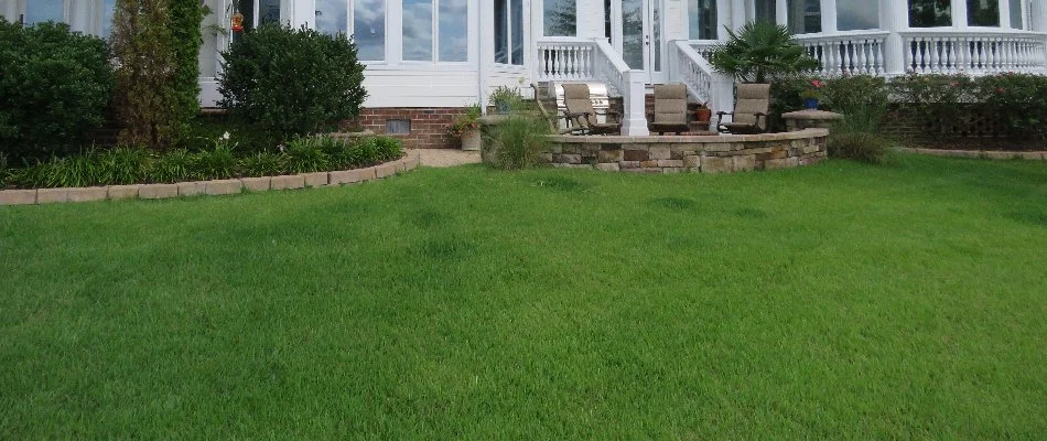 Lush green grass in Edenton, NC, by some landscape beds.