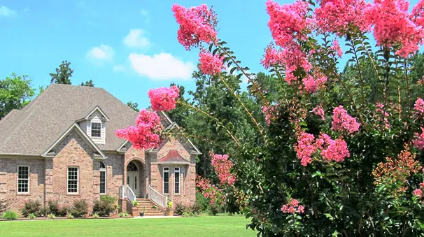 A house with pink flowers in front of it.