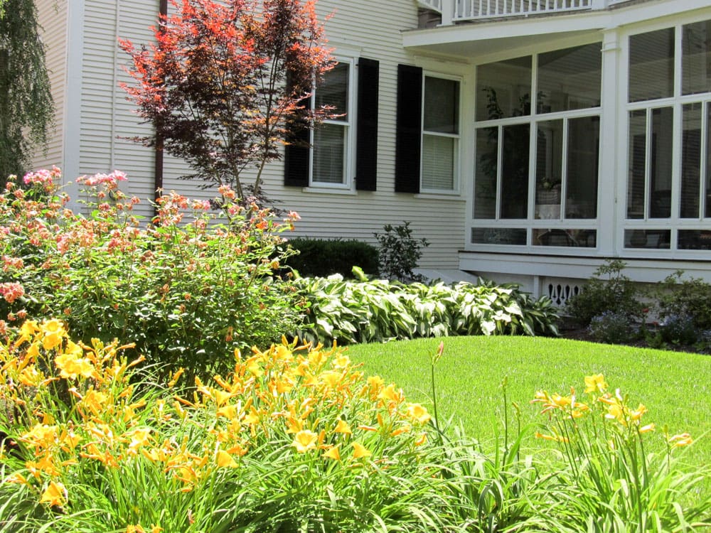 Mowing lawn care and plant care in Edenton house