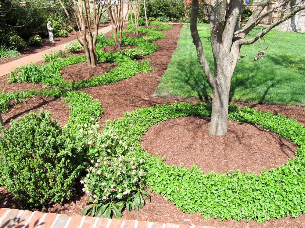 trimming pruning bed maintenance services