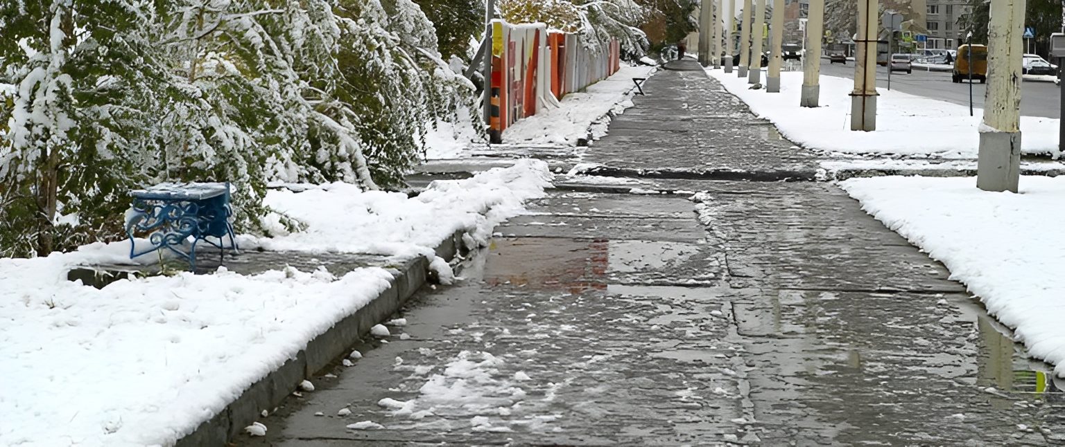 Snowy sidewalk with trees and melting snow.