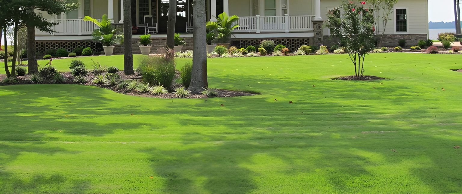 House with large green lawn and trees.