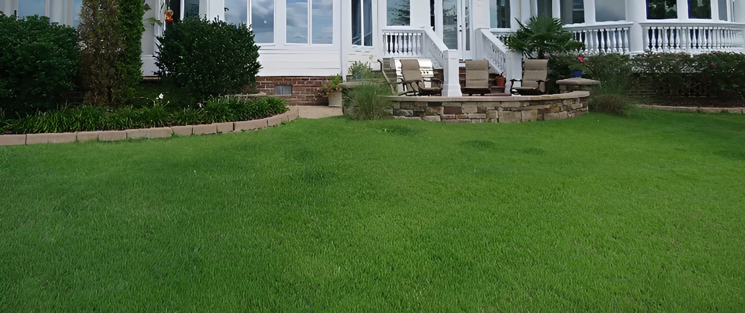 Lush green lawn in front of house.