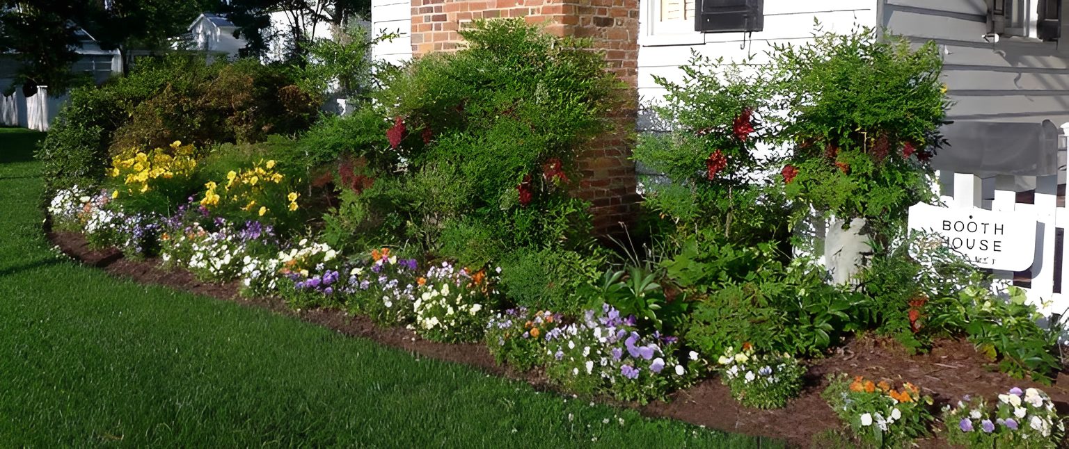 Colorful garden with flowers beside house wall.