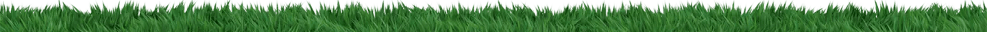 Lush green lawn