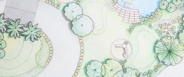 Landscape design sketch with trees and paths.