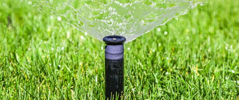 Sprinkler watering green grass on sunny day.
