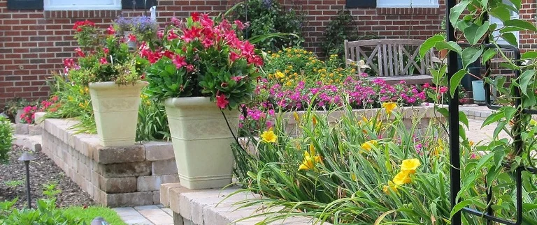 Garden with flowers and a wooden bench.