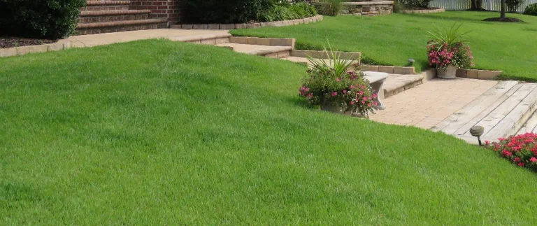 Lush green lawn with garden steps.
