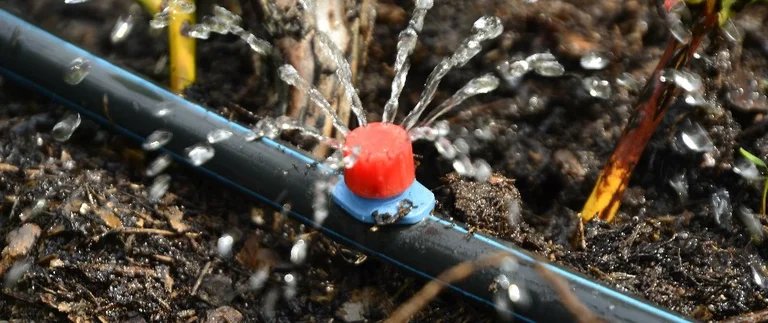 Drip irrigation system watering soil.