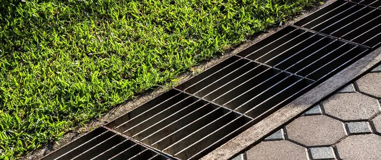 Grass, drainage grate, and stone pathway.