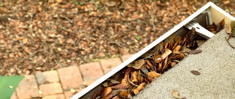 Leaves clogging a house gutter during fall.