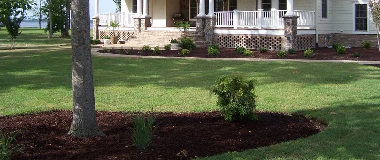 House with porch and landscaped front yard.
