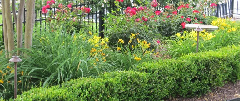 Garden with colorful flowers and trimmed hedges.