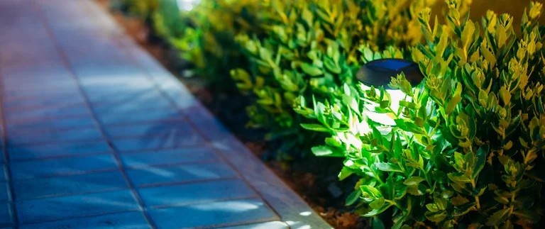 Garden path with solar lights and bushes.