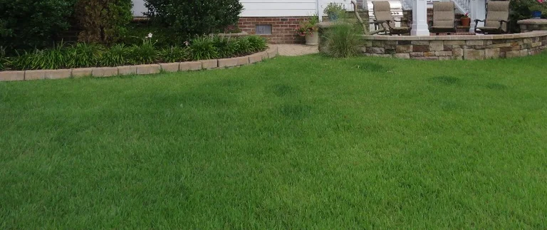 Green lawn with patio and chairs.