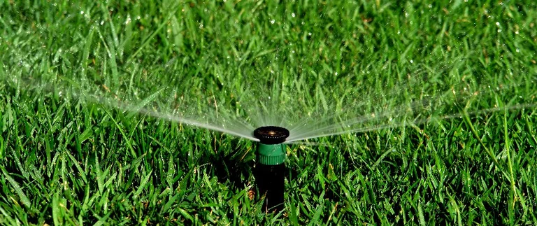 Sprinkler watering green grass lawn.