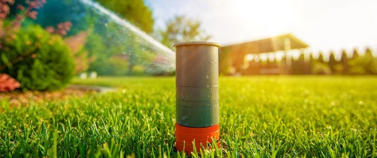 Lawn sprinkler watering grass in sunshine.