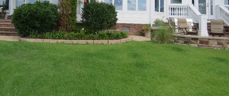 Green lawn with patio and chairs.