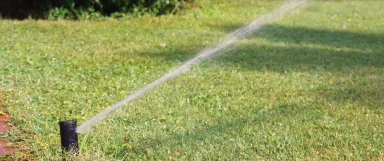 Sprinkler watering a green grassy lawn.