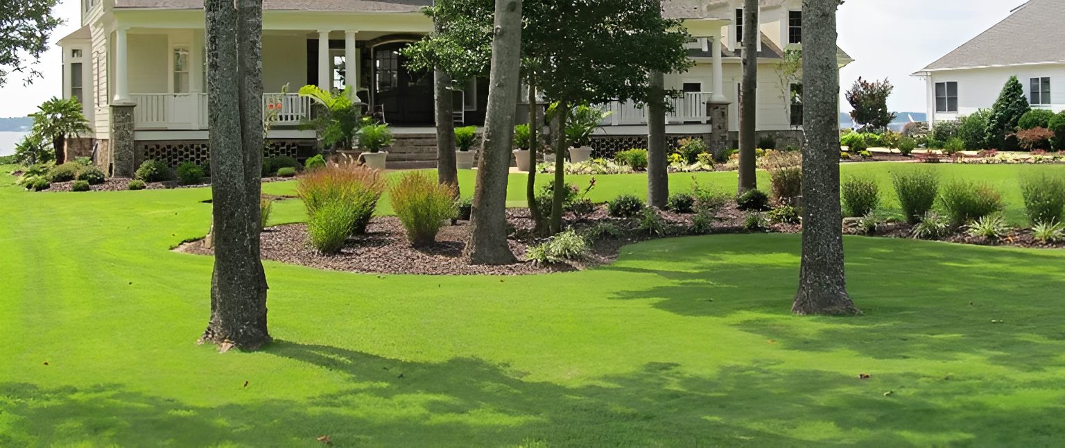 Lush green lawn with trees and house.