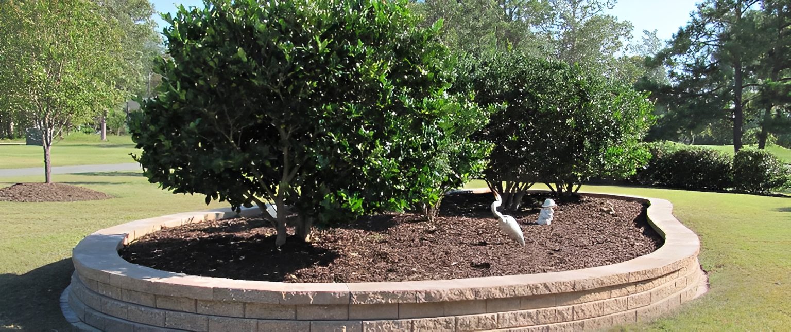 Circular garden bed with green shrubs.