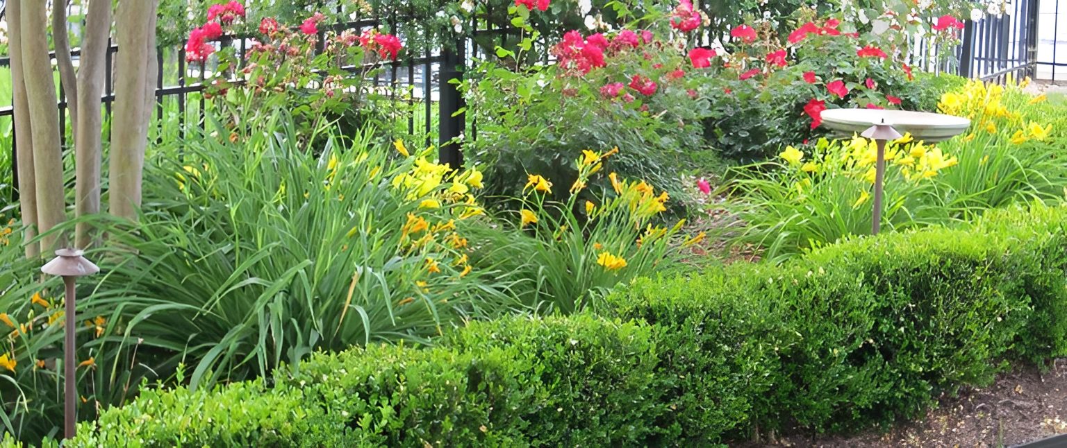 Garden with flowers and trimmed hedges.