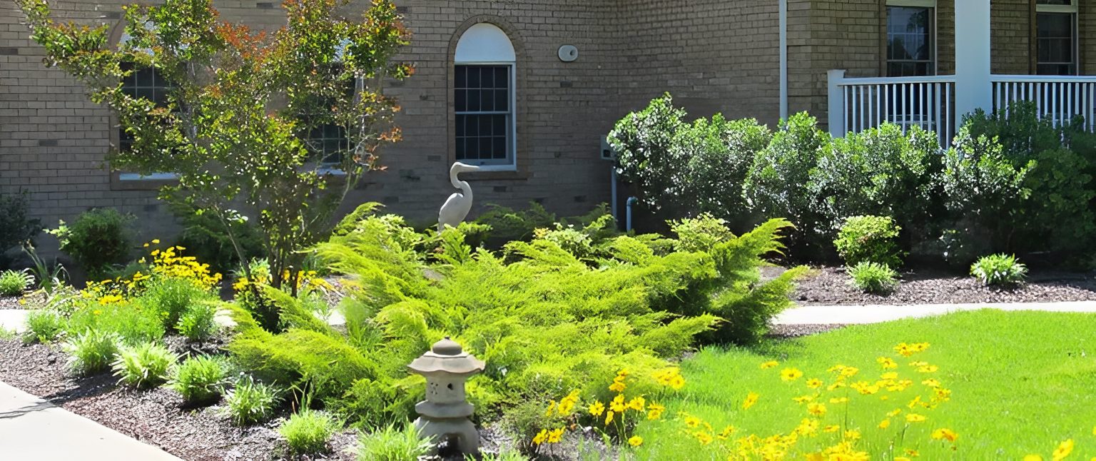 Lush garden with yellow flowers and shrubbery.