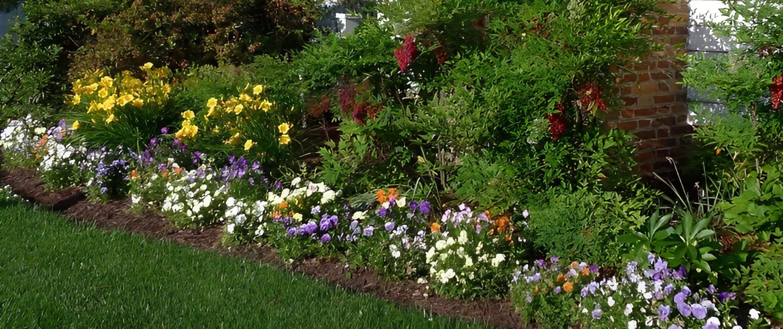Colorful flower garden with lush green foliage.