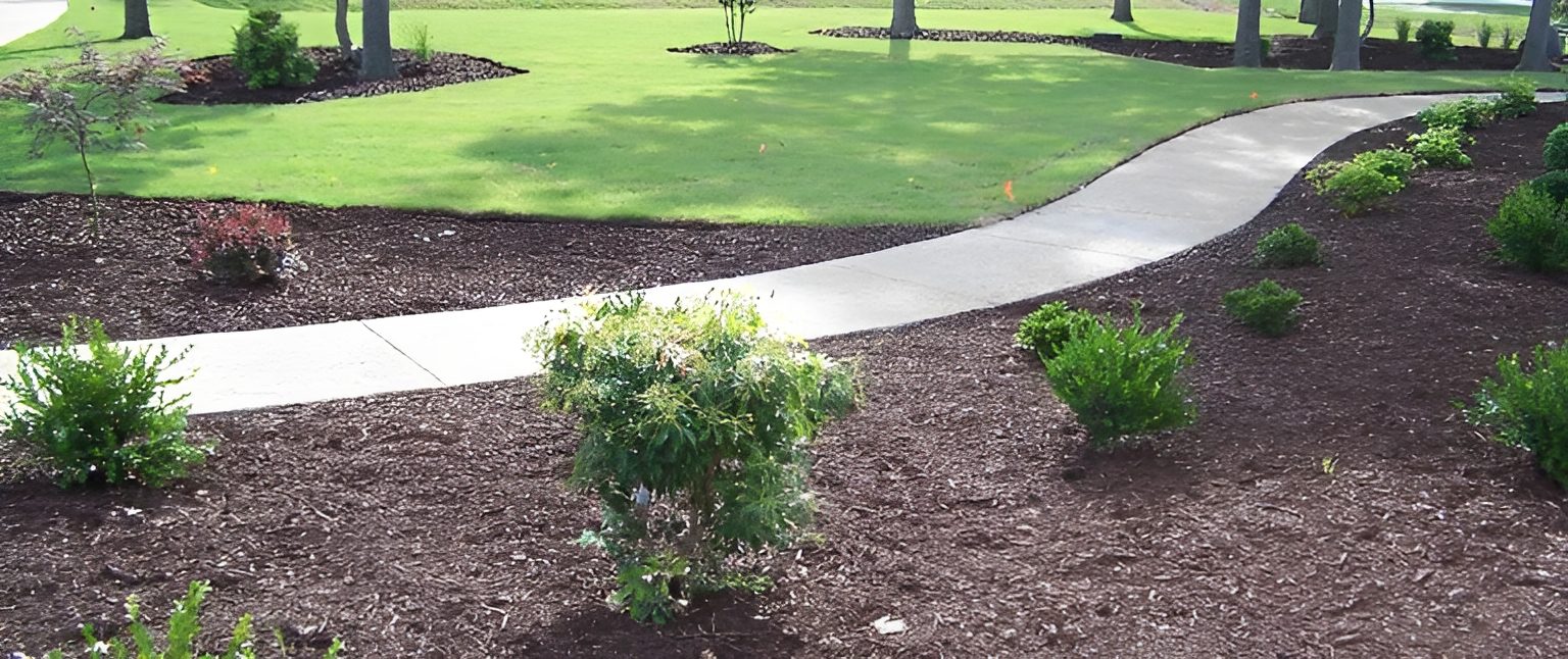 Curved pathway through landscaped garden with shrubs.