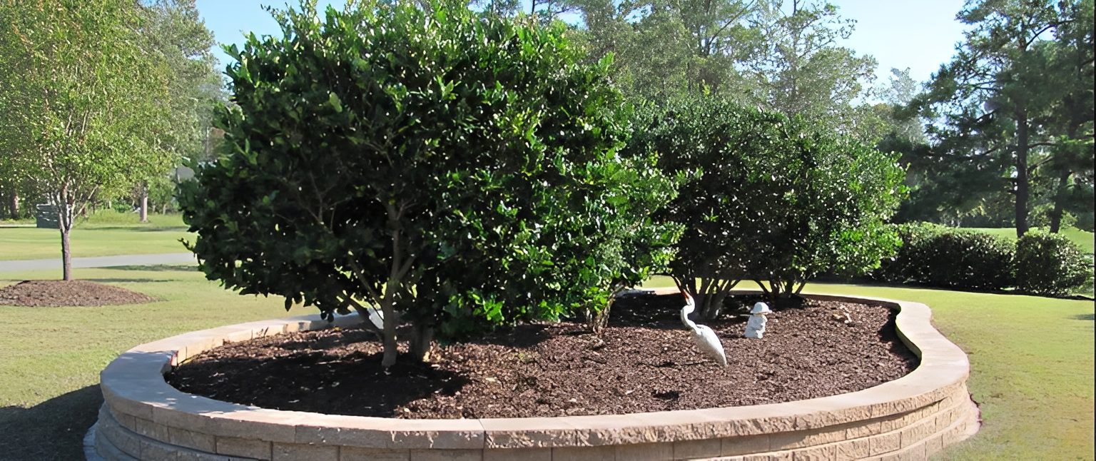 Circular garden bed with green shrubs.