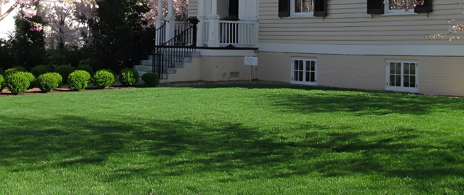 House with lush green front lawn.